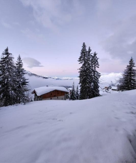 Le 1954 La Rosiere Appartement Montvalezan