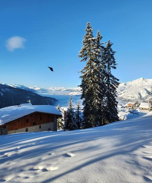 Le 1954 La Rosiere * Montvalezan