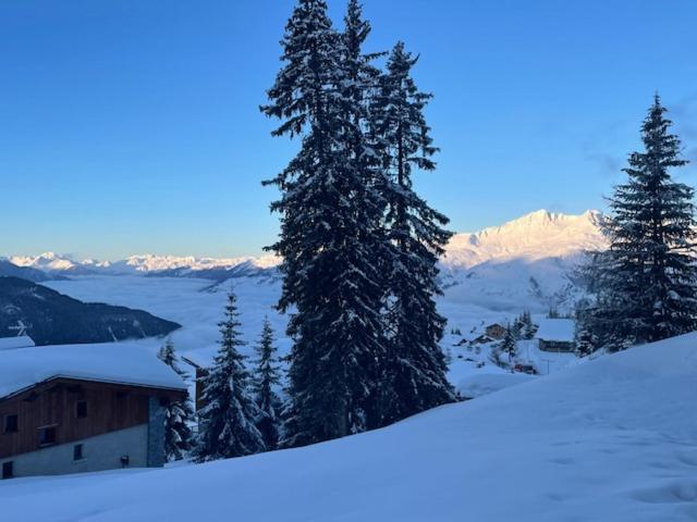 Le 1954 La Rosiere Apartment *